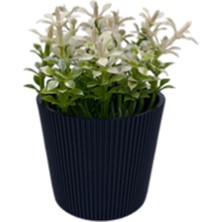 Zenvia Çizgili Yuvarlak Saksı Çiçek ROYALEKS-5706 (ZNV-556)