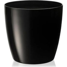 Zenvia 1no Saksı 0.68LT ROYALEKS-YK01 (ZNV-556)