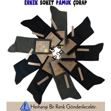 Larimar Mısırlı 60900 Erkek Organik Pamuk Soket Çorap