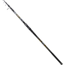 Ryuji Ryujı Aragon 3.00M 60-150GR Tele Kamış