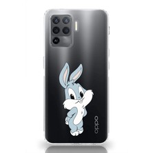 Manitoba Oppo Reno 5 Lite Uyumlu Baskılı Yumuşak Silikon Şeffaf Telefon Kılıfı