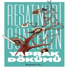 LTG Nova Yaprak Dökümü (Yeni Kapak)