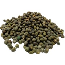 LTG Nova Bamya Tohumu 100 gr Paket