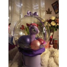 Özlab Kimya Kişiye Özel Yazılı Balon Kutusu