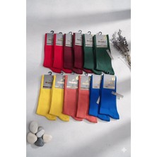 Mısırlı; Organik Pamuk Erkek Soket Çorap, Mevsimlik, Asorti 12'li Paket, 41-45