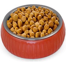 Zenvia Mikopet Organik Seramik Mama Kabı Kiremit ZNV-254110