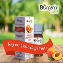 Çare Burada Biorganix Life Organik Kayısı Çekirdeği Yağı Tohumu Yağı 20 ml Şişede