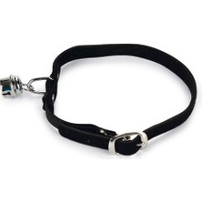 Ozlstor Beeztees Kedi Boyun Tasması, Süet, Siyah, 24-29CM