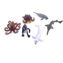 Sinerjim Model Deniz Hayvanları