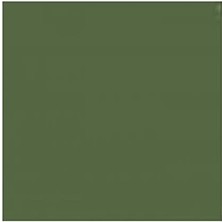 Models Rus Koyu Zeytin Solmuş 1 Fs 34096, MIOMMP030