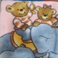 Dinarsu Vizon Bebek Battaniyesi 100 x 120 cm