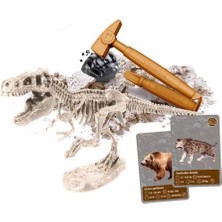 Sinerjim 64839 Bilim ve Oyun - Dünyadaki Yaşamın Tarihi