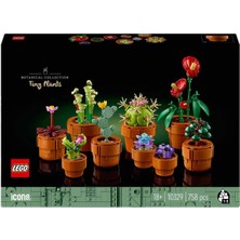 Sinerjim Icons Minik Bitkiler 10329