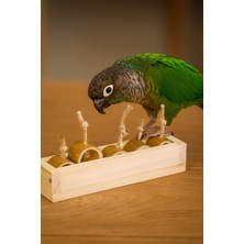 Alyones Kuş Oyuncağı | Bambu Halkalı Yemlik Oyuncak 18 cm – Doğal ve Eğlenceli