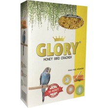 Glory 10'lu Ballı Muhabbet Kuşu Kraker