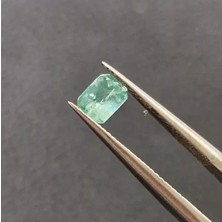 Aries 0.60CT 4.8x3.5mm Octagon Natural Emerald Zambia
