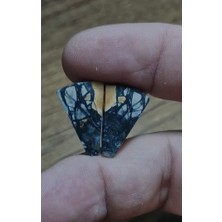 Aries 16.25CT 20.6X13.4MM Pair Maligano Jasper