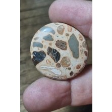 Aries 43.20CT 31.5X30.2MM Natural Round  Leopard Jasper