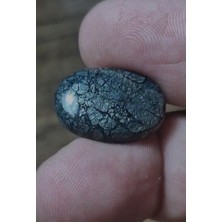Aries 14.35CT 20.8X14.4MM Natural Oval Markazite Hipomo Jasper