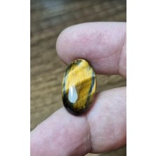 Aries 13.95CT 21.9X12.6MM Oval Natural Bi Color Tiger Eye