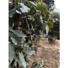 Goldium Kelebek Zincir Kutup Yıldızı Kolye