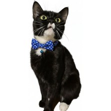 Papyonlu Kedi Boyun Tasması