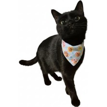 Fularlı Boyun Tasması