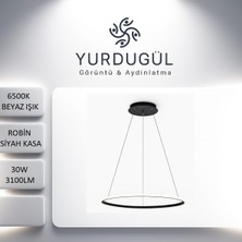Yurdugül Tekli Siyah Sarkıt Avize Beyaz Ledli