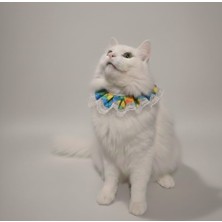 Kedi Prenses Yaka