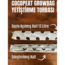 Usplant Cocopeat Çilek Growbag 13 Litre | Hindistan Cevizi Torf Torbası (Suyla Şişen)