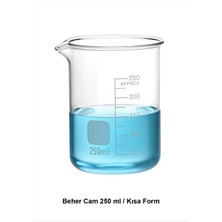 Beher Cam 250 ml / Kısa Form
