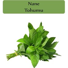 Sevimle Store Organik Nane Tohumu 1 Paket (0,02GR)