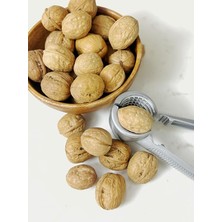 Sevimle Store Home Ceviz Kıracağı, Sağlam Çelik Krom Renk Döküm Ceviz ve Fındık Kıracağı (Ceviz Kıracağı, Gri)