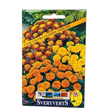 Sevimle Store Ufak Çiçekli Kadife Tohumu