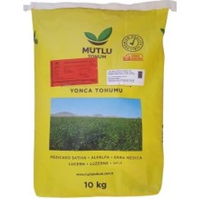 Sevimle Store Tohum Bilensoy 80 Kaplı-Sertfikalı-Yonca (1 Kg)