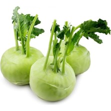 Sevimle Store Tarım Yerli Doğal Kohlrabi Yer Lahanası Cehennem Topuzu Yeşil Alabaş Turpu 100 Adet Tohum