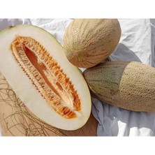 Sevimle Store Dünyam 10 Adet Özbekistan Kavunu Tohumu