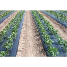 Sevimle Store Sebze Naylonu 50 Metre Eni 120 cm Malç Naylonu Sebze Örtüsü Malç Örtüsü Siyah Domates Karpuz Naylonu