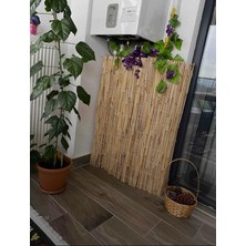 Sevimle Store 1MX1M Hasır Kamış Çit