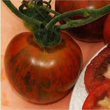 Sevimle Store Adet Black Zebra Domates Tohumu