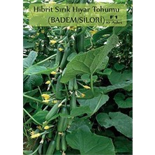 Sevimle Store Organik Hibrit Salatalık Tohumu 10 Adet Badem Hıyar Tohumu F1 (Badem-Silor)
