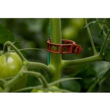 Sevimle Store Klipsi 120 Adet Bitki Klipsi Sarmaşık Klipsi Gövde Klipsi Domates Kelepçesi