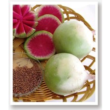 Sevimle Store Tarım Yerli Doğal Beyaz-Kırmızı Turp Çelebi 500 Adet Tohum