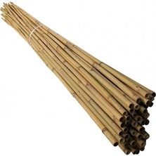 Sevimle Store cm Doğal Bambu Bitki Destek Çubuğu 10 Adet 5-10 mm