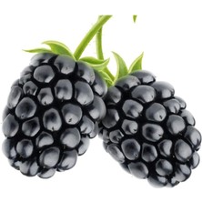 Sevimle Store Böğürtlen Tohumu 10 Adet Tohum Nadir Iri Cins Ahududu Ahu Dudu