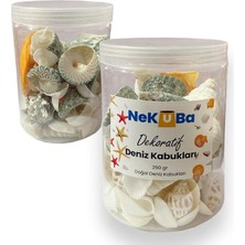 Sevimle Store Akvaryum, Teraryum,saksı, Süsleme Için Karışık Dekoratif Doğal Deniz Kabukları, 250GR