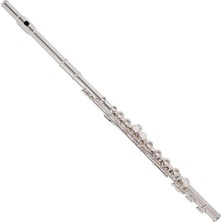 Sevimle Store James TJ5X Yan Flüt