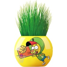 Sevimle Store Kral Şakir Temalı Çim Adam 6'lı Set – Çocuklar Için Eğitici ve Eğlenceli Bitki Yetiştirme Kiti