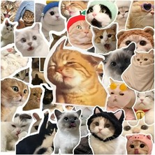 Sevimle Store Major Selection 100'LI Çılgın Kedi Sticker Set Laptop Notebook Tablet Sticker Seti