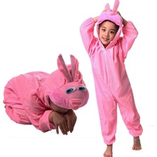 Çocuk Tavşan Kostümü Pembe Renk 2-3 Yaş 80 cm (4801)